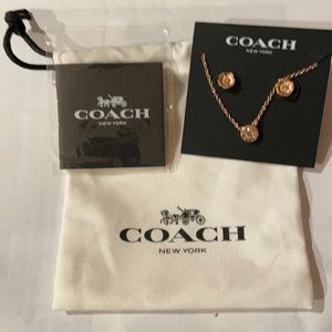 Necklace and earring set.